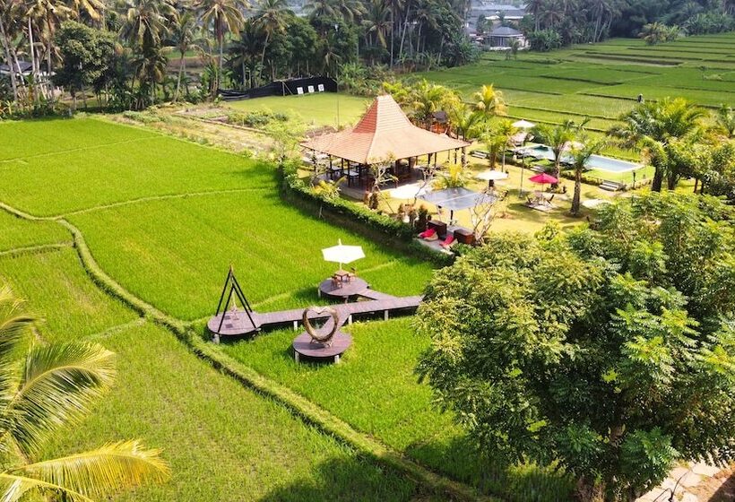 민박 Adil Villa And Resort
