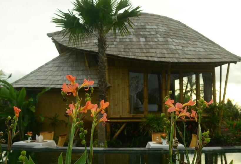 민박 Padi Bali Retreat