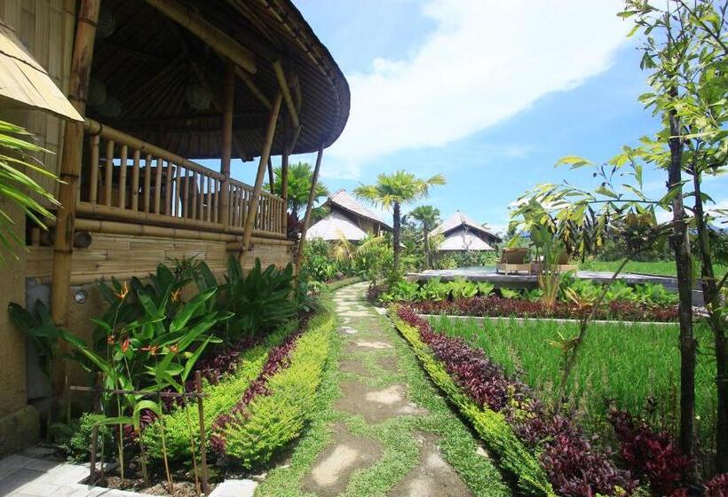 민박 Padi Bali Retreat