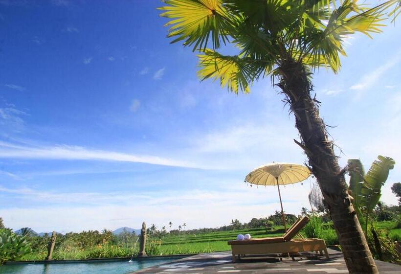 민박 Padi Bali Retreat