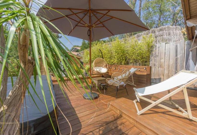 تختخواب و صبحانه Wood N Sea Surf Lodge   Auberge De Jeunesse