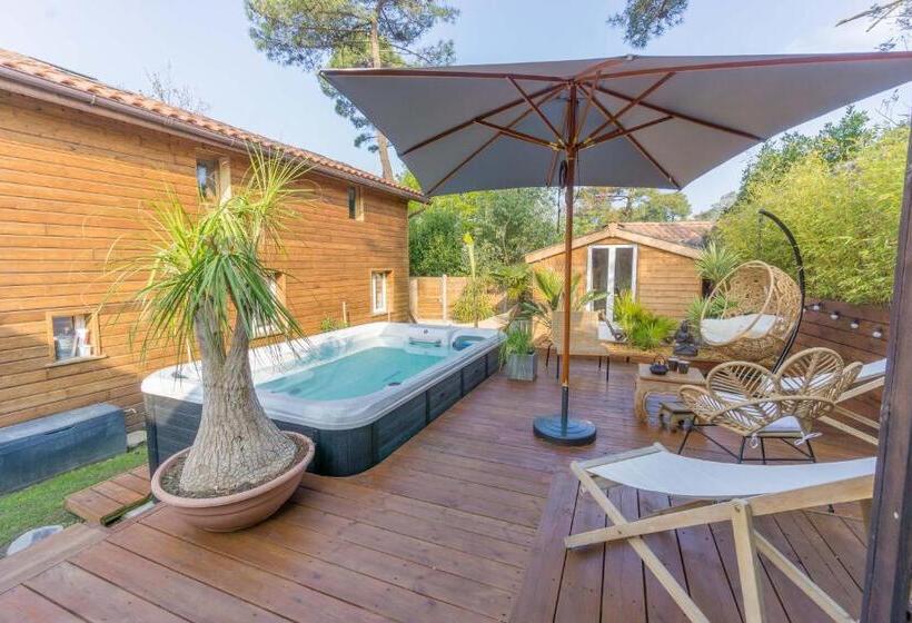 تختخواب و صبحانه Wood N Sea Surf Lodge   Auberge De Jeunesse