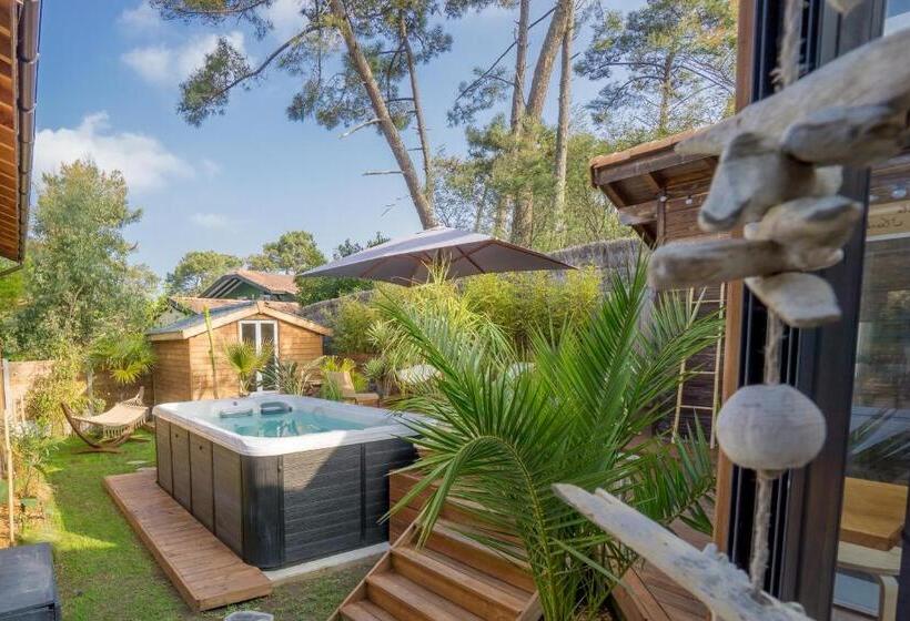 تختخواب و صبحانه Wood N Sea Surf Lodge   Auberge De Jeunesse