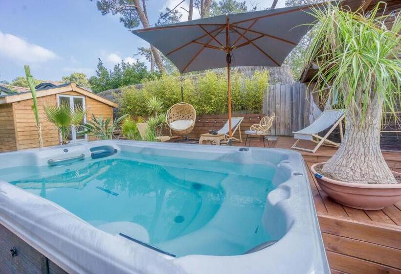 تختخواب و صبحانه Wood N Sea Surf Lodge   Auberge De Jeunesse