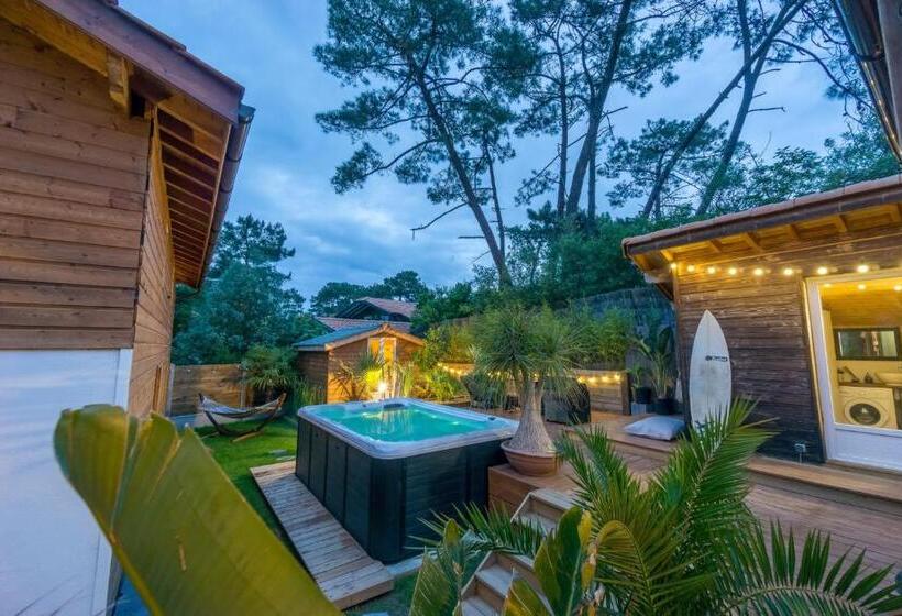 تختخواب و صبحانه Wood N Sea Surf Lodge   Auberge De Jeunesse