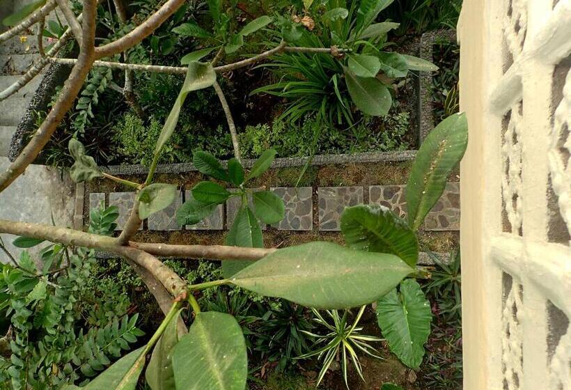 فندق فئة نجمة واحدة Tangkoko Sanctuary Villa