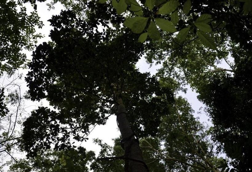 فندق فئة نجمة واحدة Tangkoko Sanctuary Villa