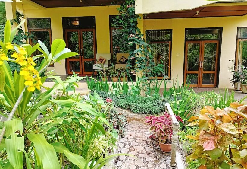فندق فئة نجمة واحدة Tangkoko Sanctuary Villa