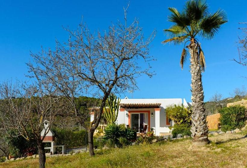 Villa Can Ameler