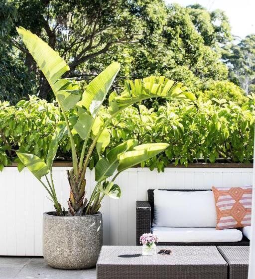 فندق Bannisters By The Sea Mollymook