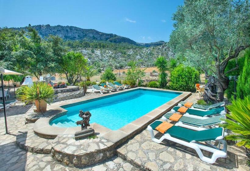 Owl Booking Villa Rafals Wonder In The Midst Of Nature