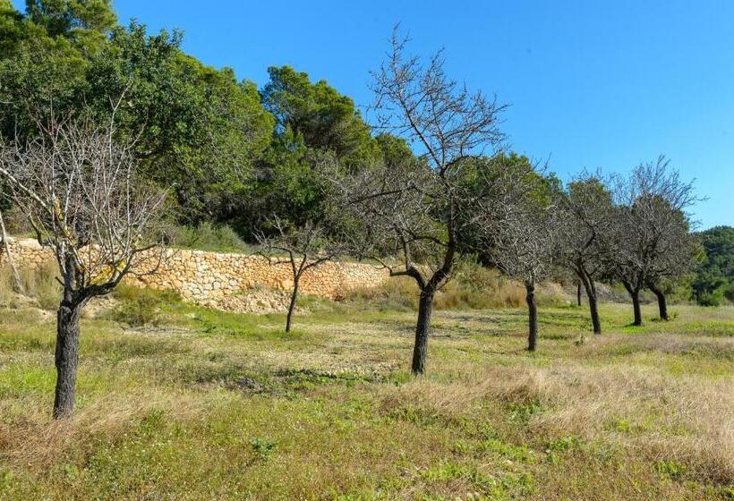 Villa Can Ameler