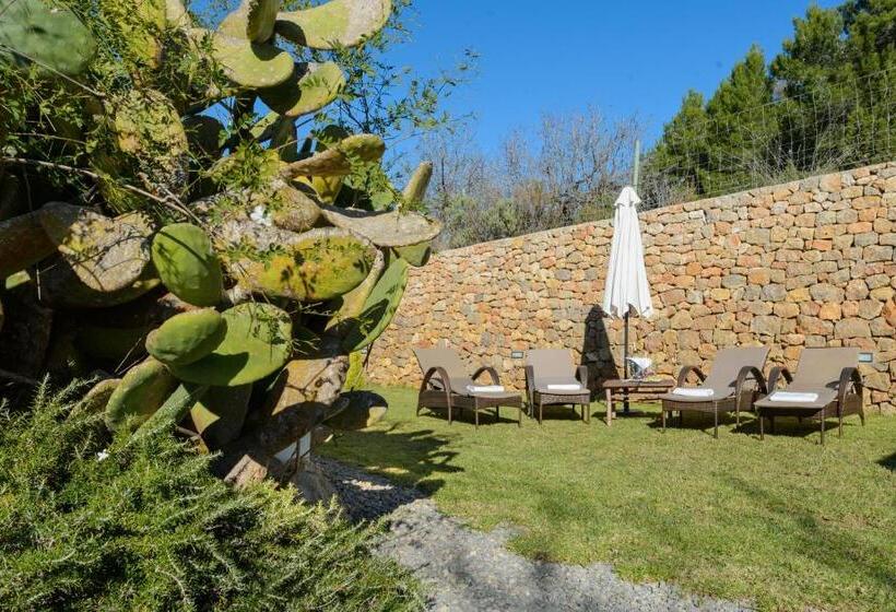 Villa Can Ameler