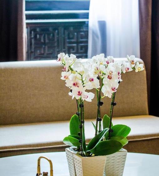 Fotos del hotel Bai Dinh:  53