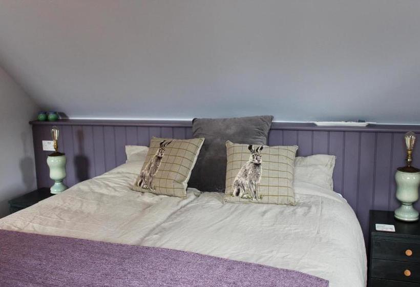 فندق Bungalow 500 Bed And Breakfast