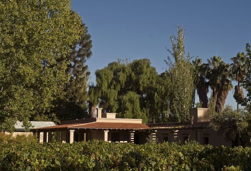 Fotos del hotel Posada Verde Oliva:  35