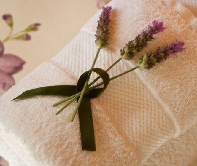 Fotos del hotel Posada Verde Oliva:  27