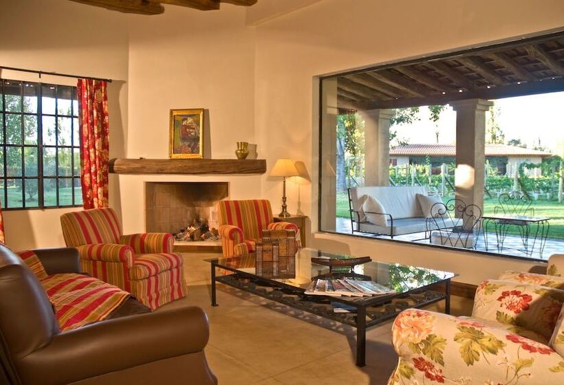 Fotos del hotel Posada Verde Oliva:  4