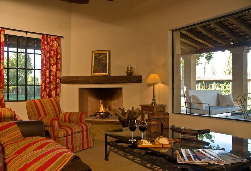 Fotos del hotel Posada Verde Oliva:  20