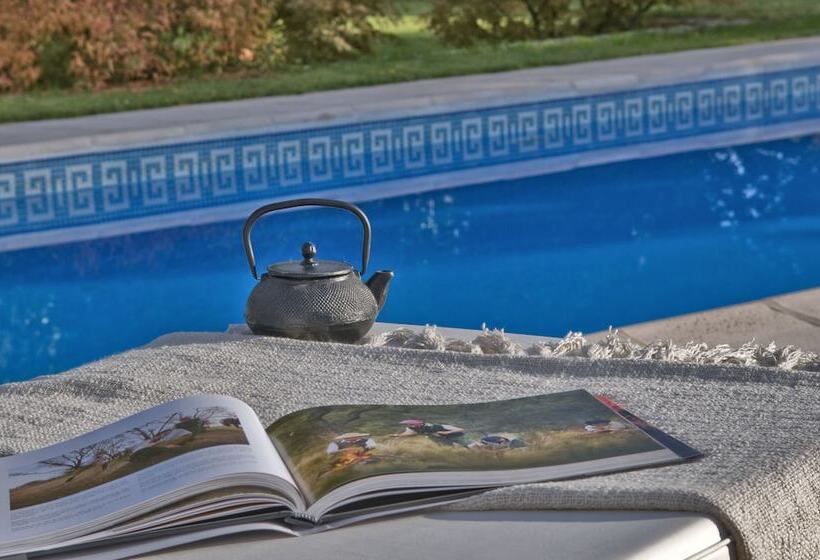 Fotos del hotel Posada Verde Oliva:  19