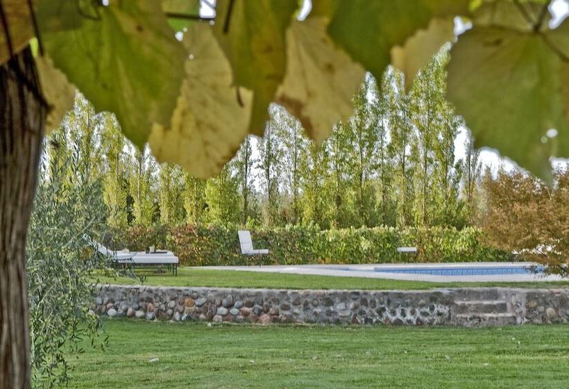 Fotos del hotel Posada Verde Oliva:  38