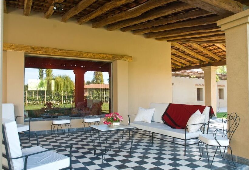 Fotos del hotel Posada Verde Oliva:  43