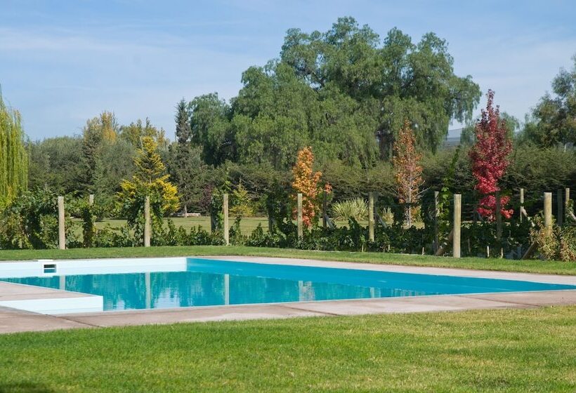 Fotos del hotel Posada Verde Oliva:  50