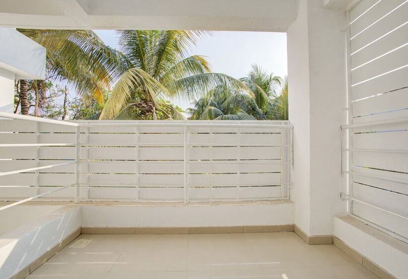 Fotos del hotel Aerith Studios By Bird Of Paradise:  24