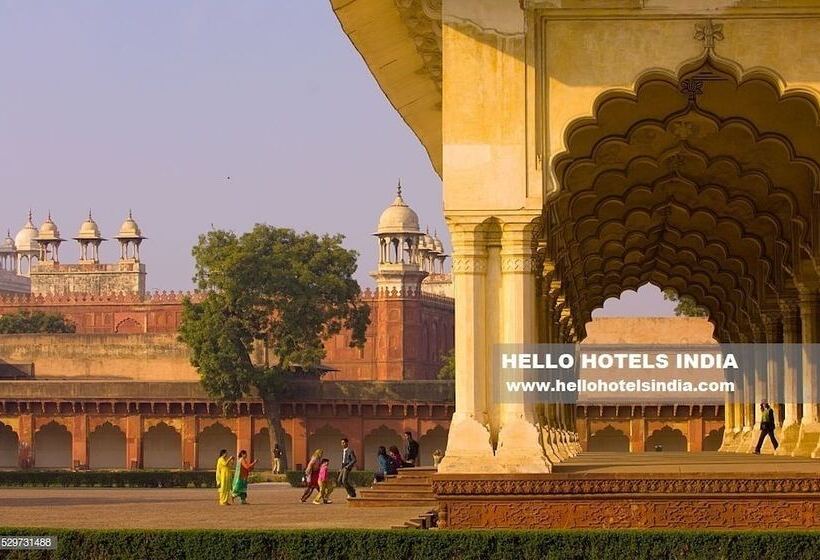 Fotos del hotel Suzi International:  5