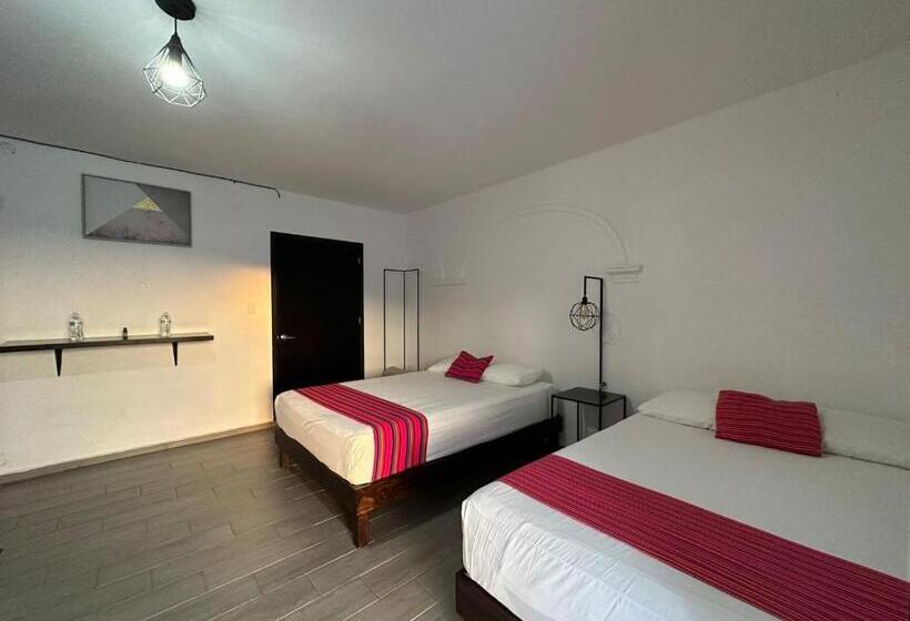 Fotos del hotel Casa Malva Sweet Stay:  8