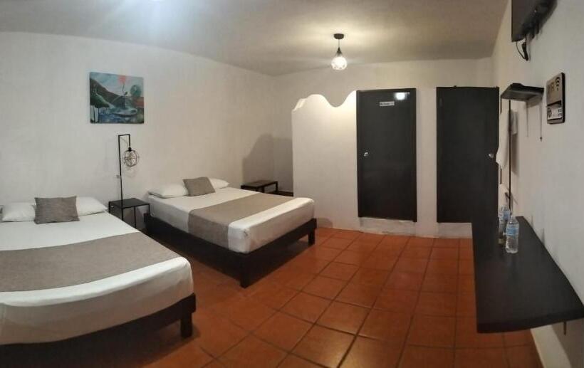 Fotos del hotel Casa Malva Sweet Stay:  5