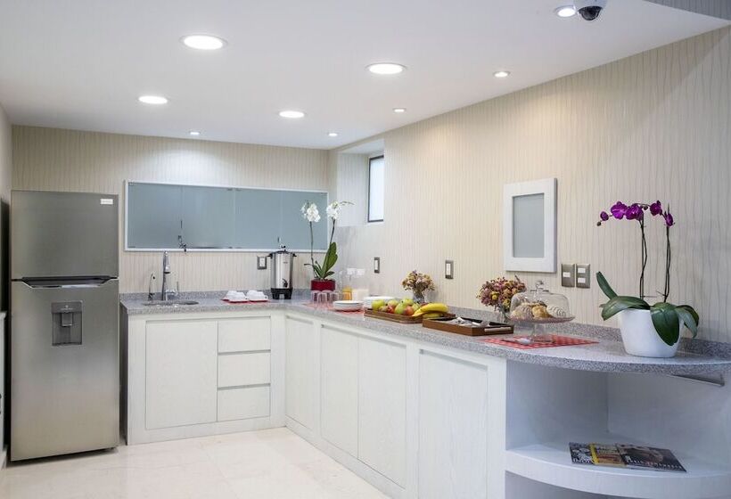 Fotos del hotel Suites Coben Apartamentos Amueblados:  12