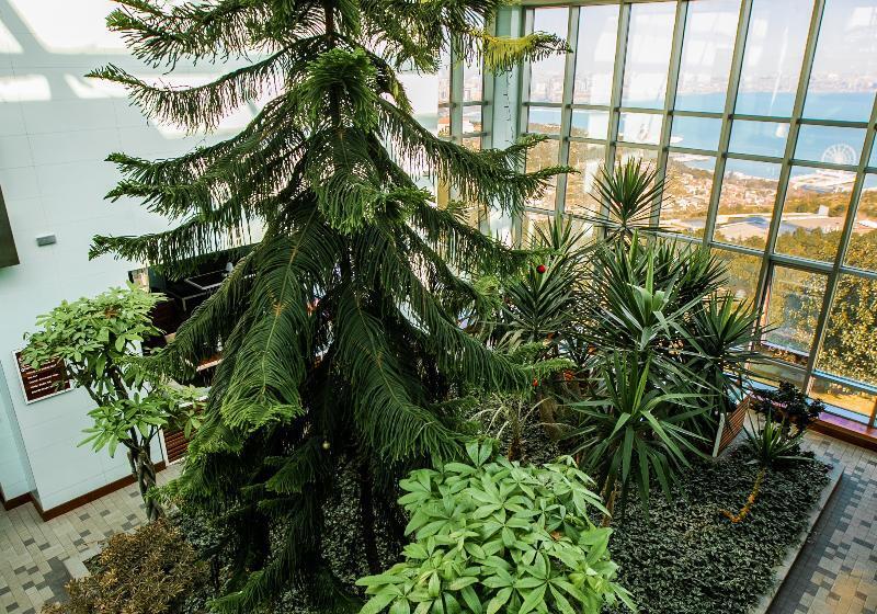 Fotos del hotel Badam D Art Boutique:  23