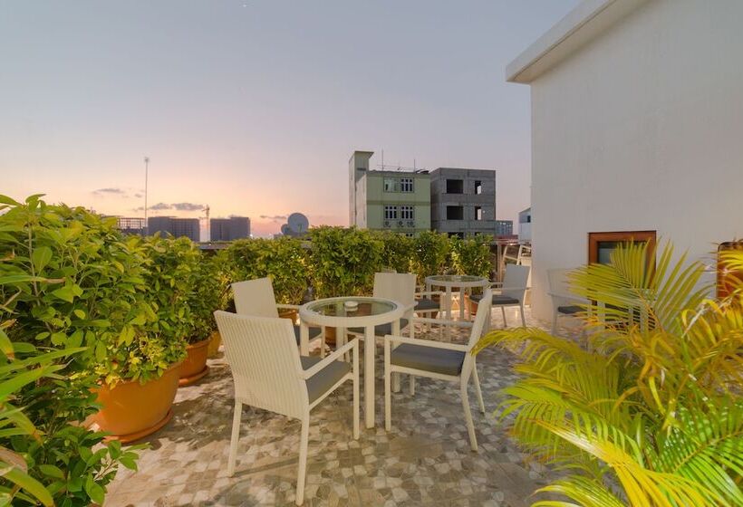 Fotos del hotel Samann Host:  19