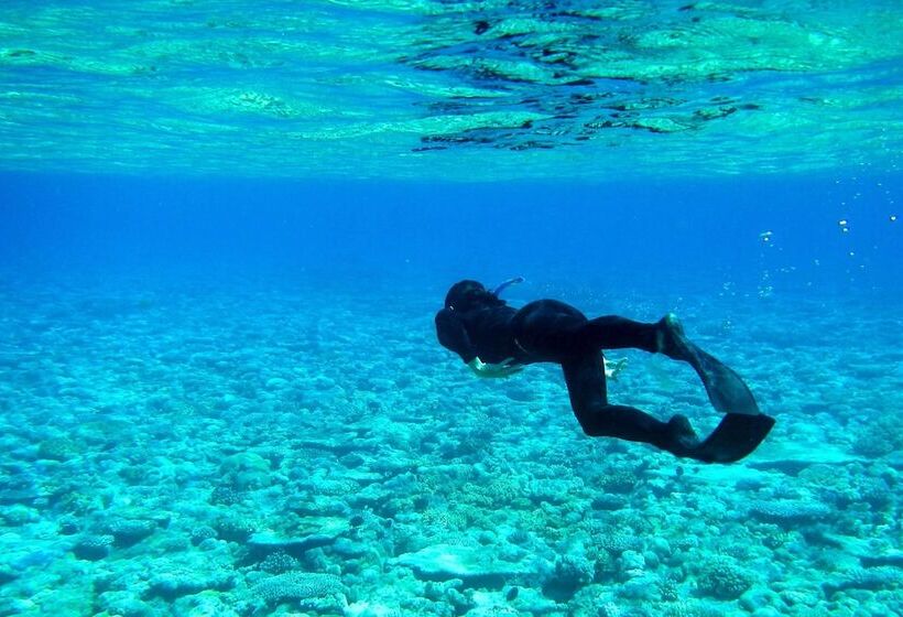 Fotos del hotel Samann Host:  2