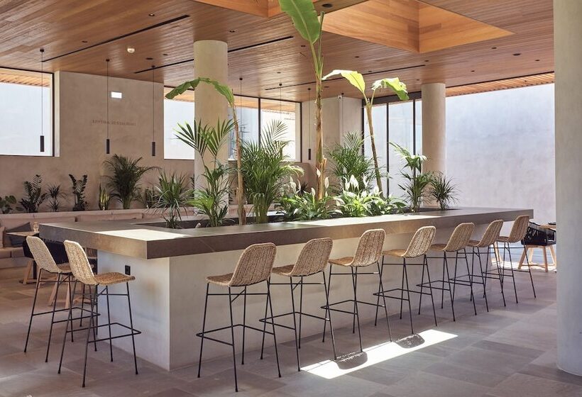 Fotos del hotel Contessina Suites And Spa:  11