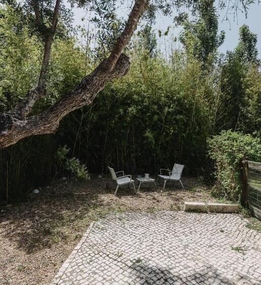 Fotos del hotel Quinta Do Miguel:  9