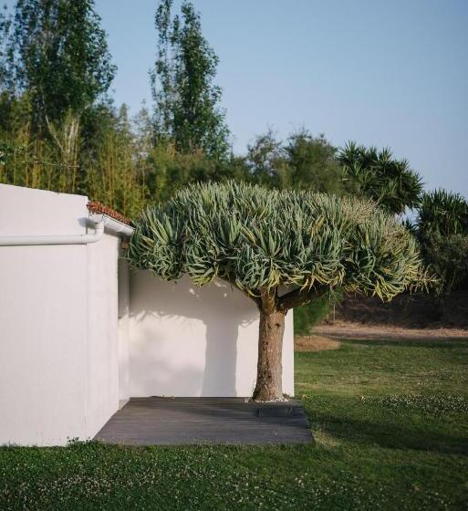 Fotos del hotel Quinta Do Miguel:  11