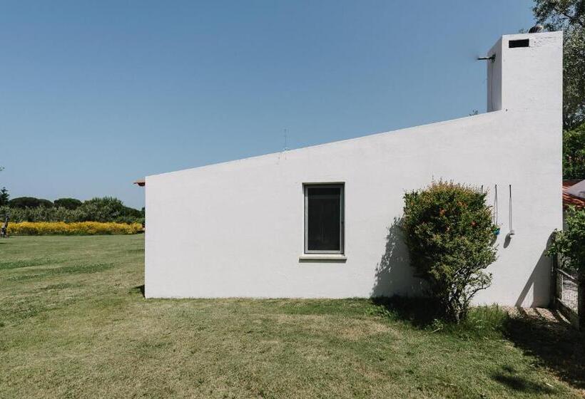 Fotos del hotel Quinta Do Miguel:  19