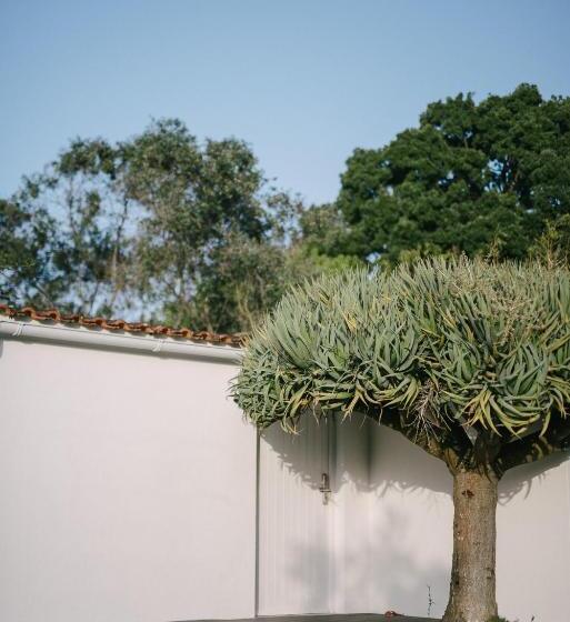 Fotos del hotel Quinta Do Miguel:  18