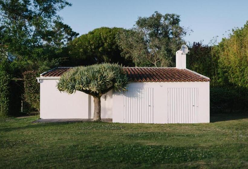 Fotos del hotel Quinta Do Miguel:  13