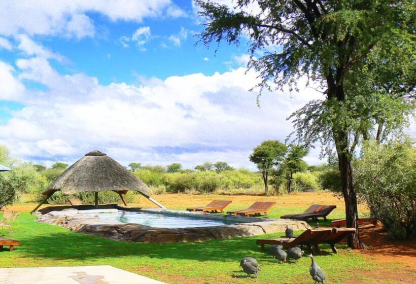 Fotos del hotel West Nest Lodge:  6