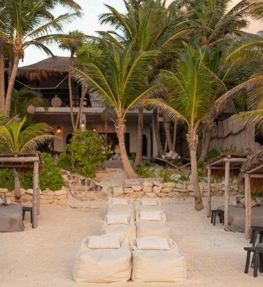 Fotos del hotel Nest Tulum:  25