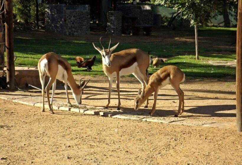 Fotos del hotel Oasis Country Lodge:  23