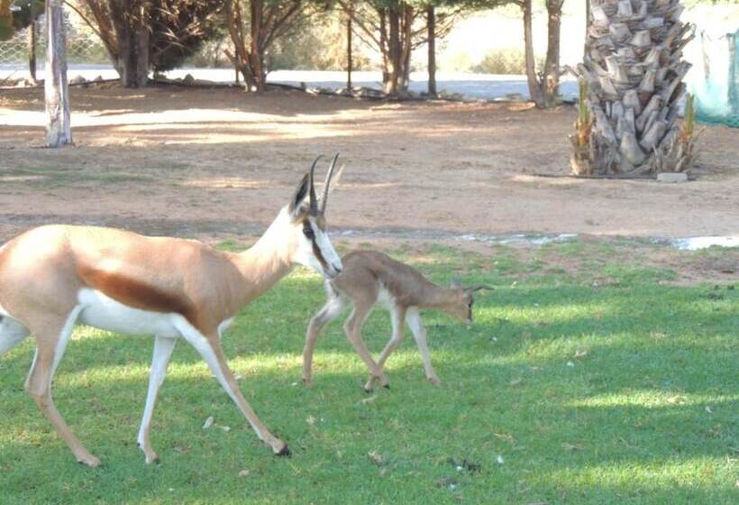 Fotos del hotel Oasis Country Lodge:  19