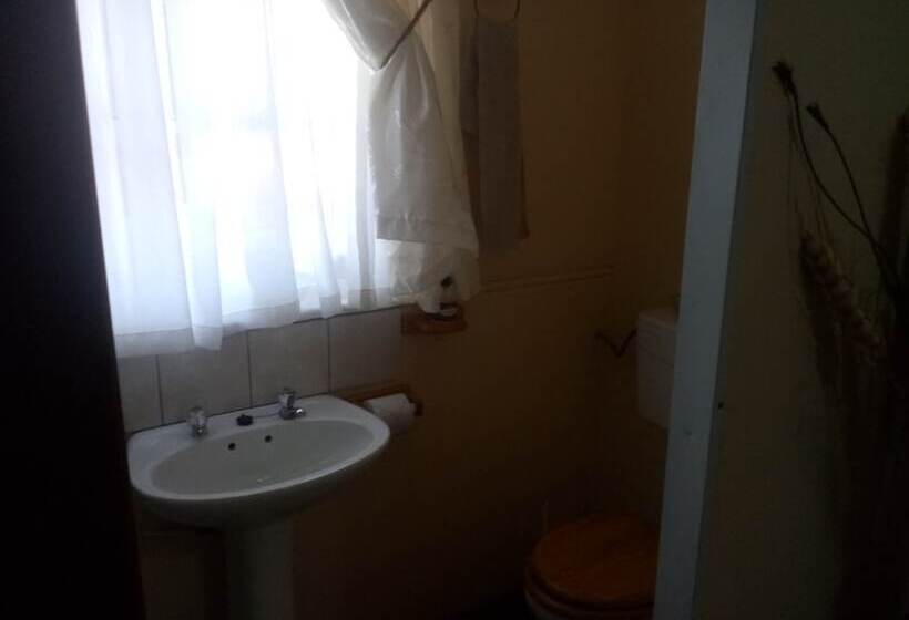 Fotos del hotel Oasis Country Lodge:  7