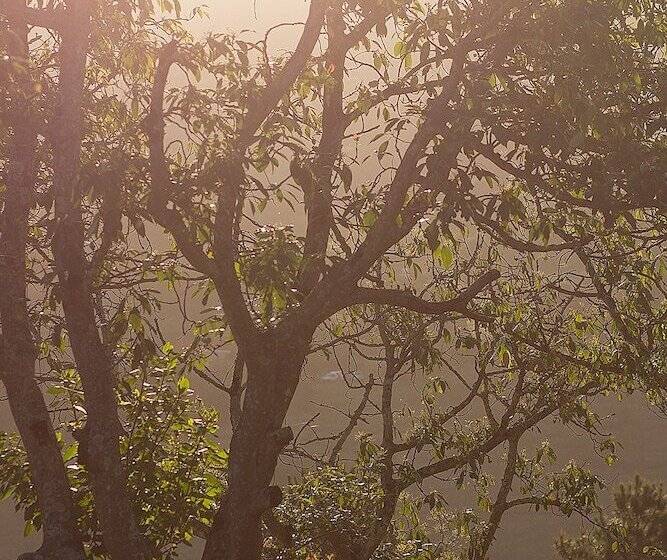 Fotos del hotel Matusadona Guest Lodge:  10