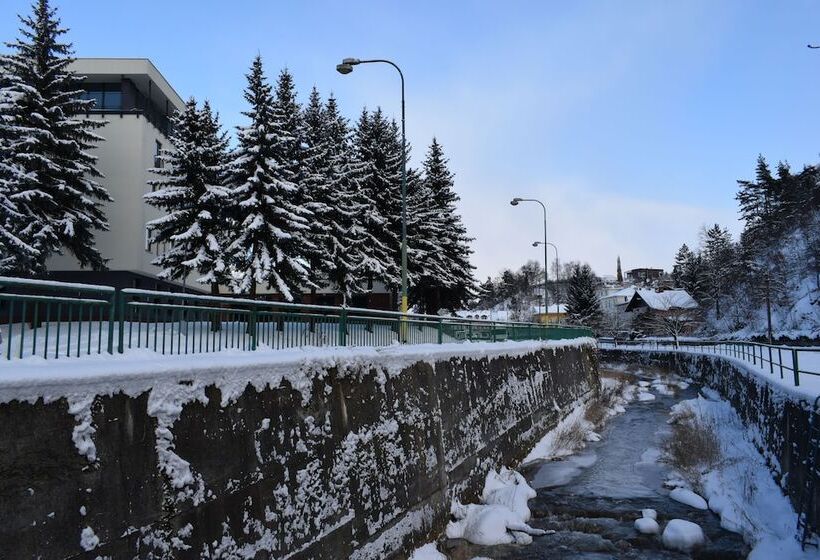 Fotos del hotel Park Carlsbad Inn:  10