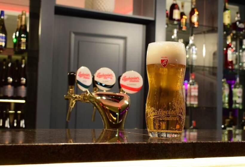 Fotos del hotel Park Carlsbad Inn:  4