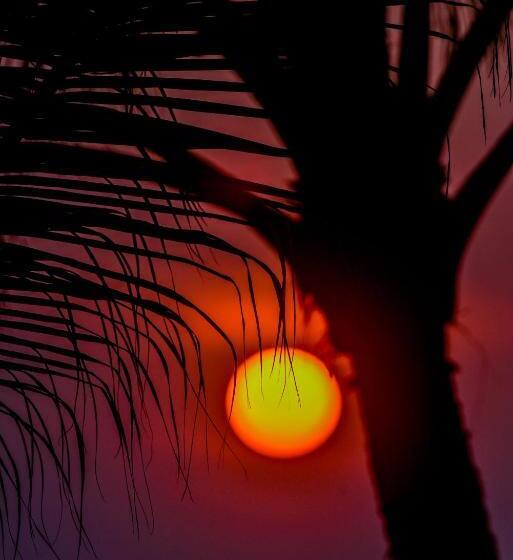 Fotos del hotel Hikka Fnr Villa:  18